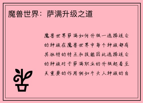 魔兽世界：萨满升级之道
