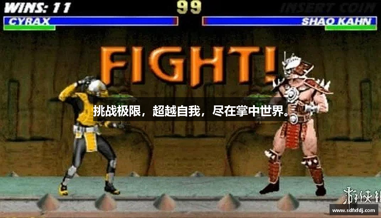 华人策略综合讨论